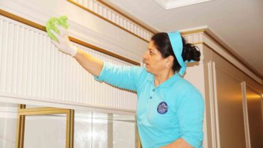 Hijyenik Duvar Temizleme Hizmeti