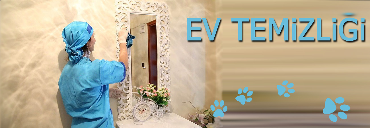 Ev temizliği